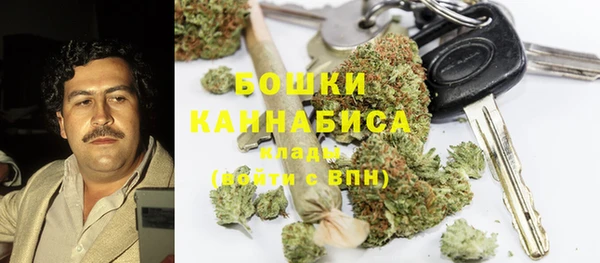 стафф Аркадак